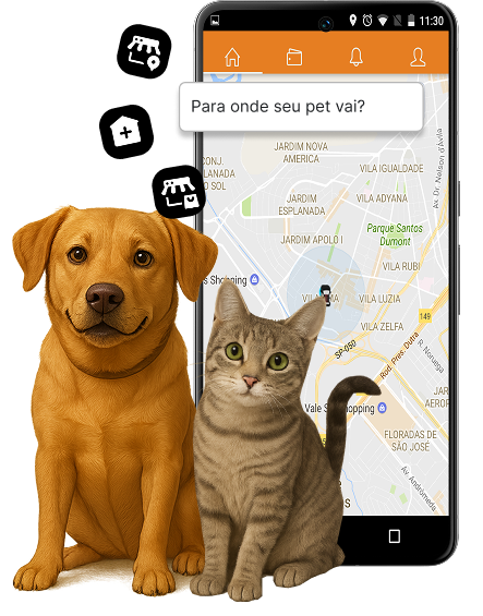 cão e gato